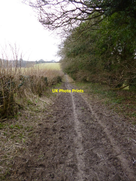 Photo 6"x4" Winterborne Houghton, byway Winterborne Houghton c2013