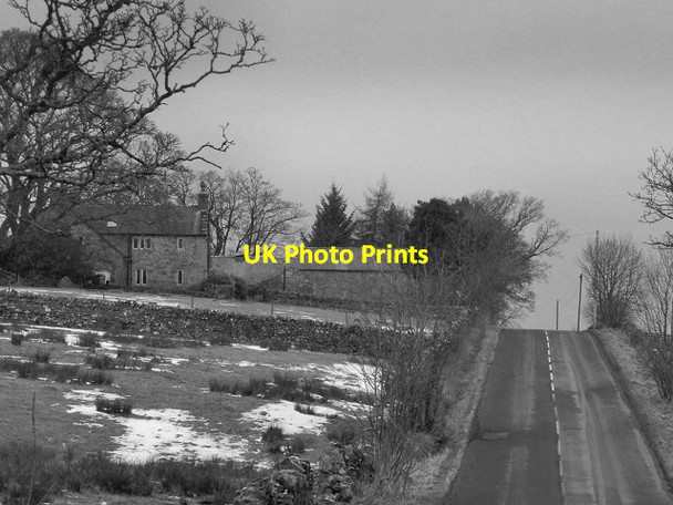 Photo 6"x4" A689, Low Wanwood Alston\/NY7146 c2013