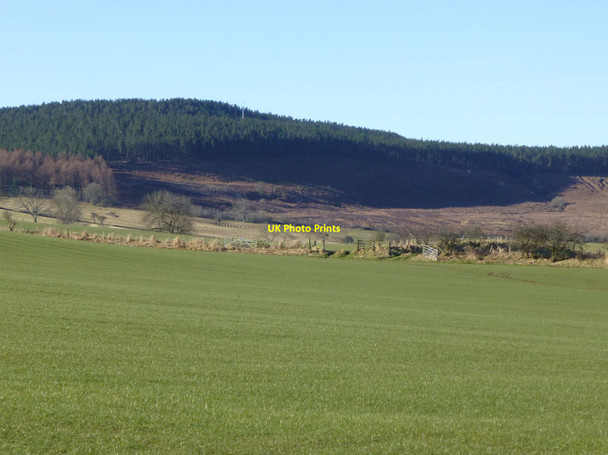 Photo 6"x4" Arable fields Newtown\/NU0300 c2013