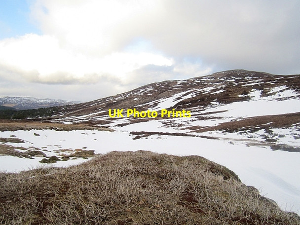 Photo 6"x4" Burnt heather, Allt Lochan nan Eun Garbh Allt Shiel c2013