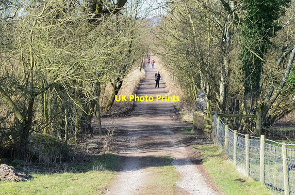 Photo 6"x4" RSPB Leighton Moss Crag Foot c2013