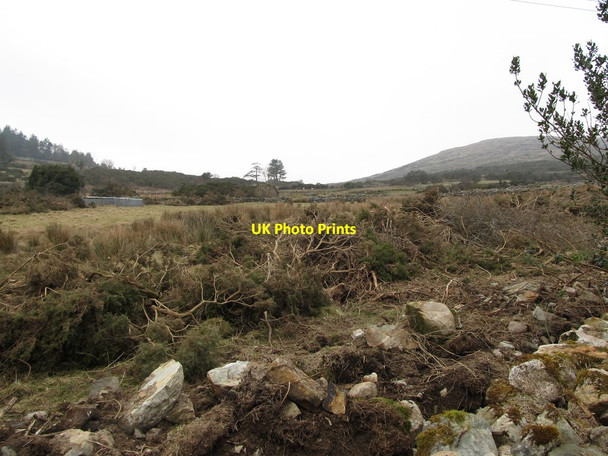 Photo 6"x4" Land reclamation underway in the col between Thunders Hill and Leckan More Rostrevor c2013