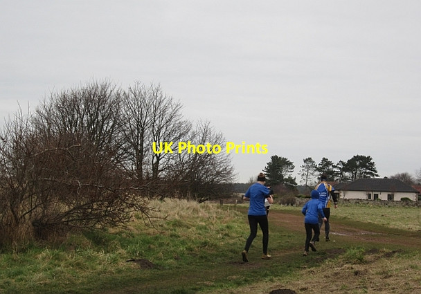 Photo 6"x4" Orienteering, Gullane Gullane c2013