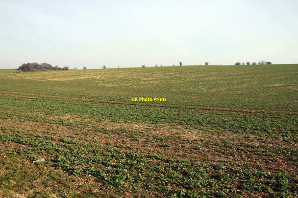 Photo 6"x4" Arable field by Copperage Road Farnborough\/SU4381 c2013