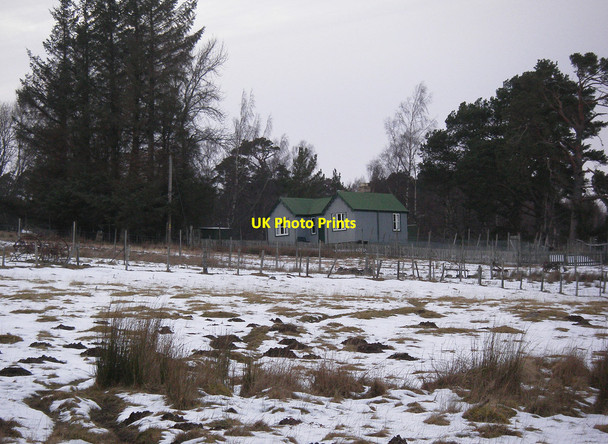 Photo 6"x4" House at Whitewell Coylumbridge c2013