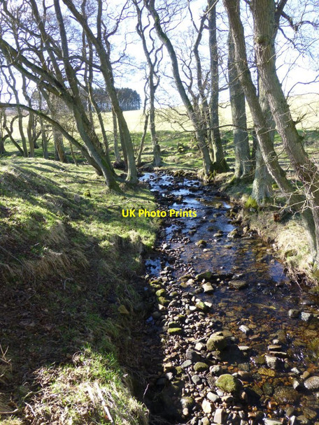 Photo 6"x4" Whitefield Burn  Hepple c2013
