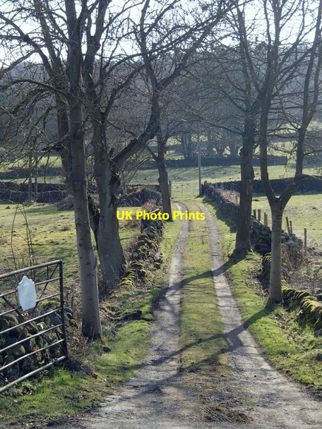 Photo 6"x4" Farm track to Littlemoor Wood Farm Matlock c2013