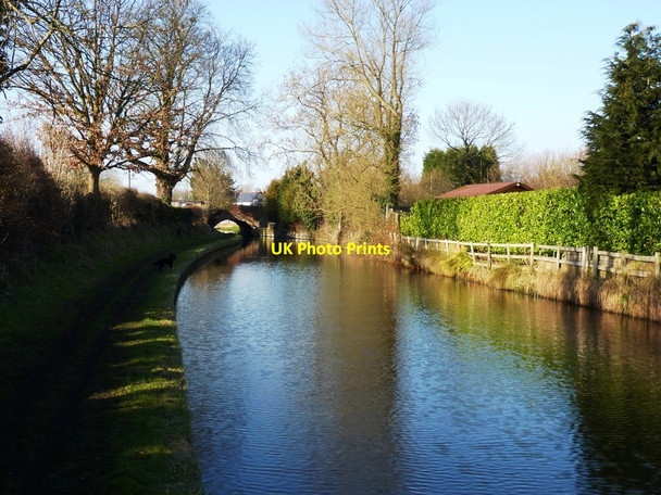 Photo 6"x4" Staffs & Worcester Canal - approaching Cross Green Bridge Brinsford c2013