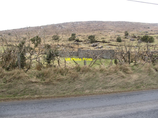 Photo 6"x4" A sheep fold opposite the Holy Cross Monastery Rostrevor c2013