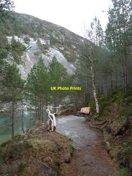 Photo 6"x4" A Seat with a view, An Lochan Uaine Creag nan Gall\/NJ0010 c2013