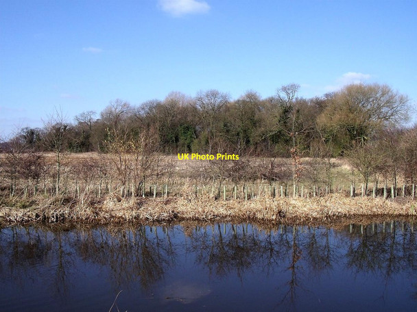 Photo 6"x4" Green Plantation Willington\/SK2928 c2013