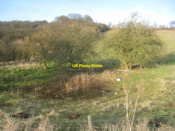 Photo 6"x4" Pond in Swin Dale North Newbald c2013