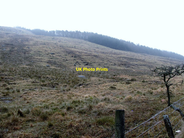 Photo 6"x4" The forested summit of Crotlieve Mountain Hilltown\/J2128 c2013