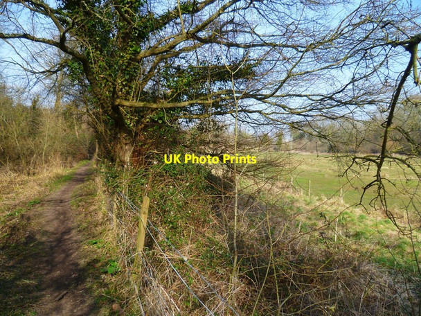 Photo 6"x4" Itchen Way (46) Midanbury c2013