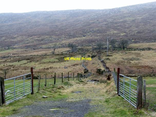 Photo 6"x4" Lane leading to a ruined farmstead on the eastern slopes of Slieve Roosley Hilltown\/J2128 c2013