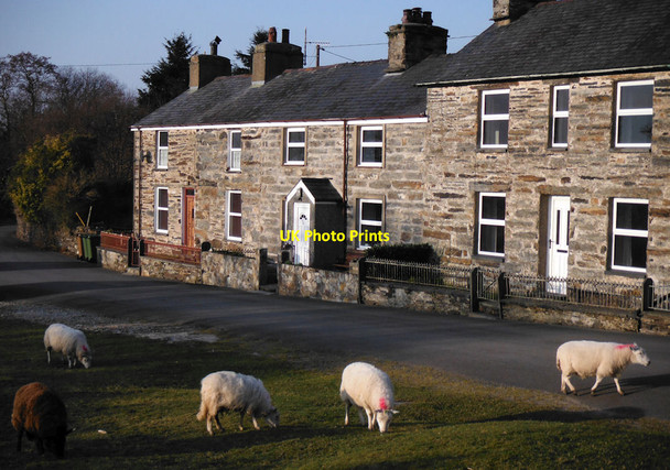 Photo 6"x4" Ty Gwyn Llanfihangel-y-traethau c2013