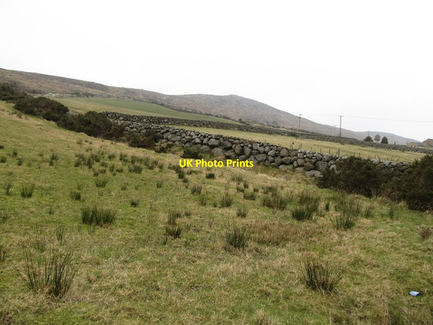 Photo 6"x4" Grazing land between the B25 and the open mountain Rostrevor c2013