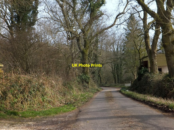 Photo 6"x4" The edge of Knowles Wood Kerswell\/ST0806 c2013