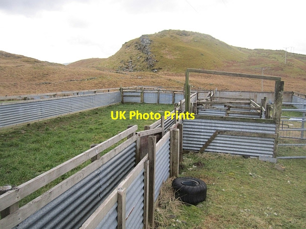 Photo 6"x4" Fank, Ballimore Ballimore\/NN0525 c2013