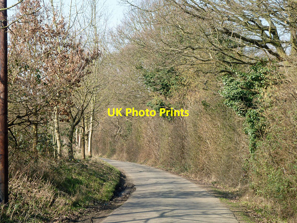 Photo 6"x4" Church Lane, Little Leighs Church End\/TL7316 c2013
