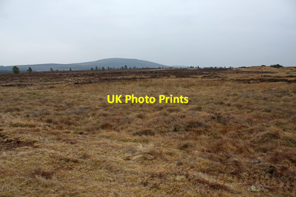 Photo 6"x4" Boggy moorland south of Muckle Lyne Ferness c2013