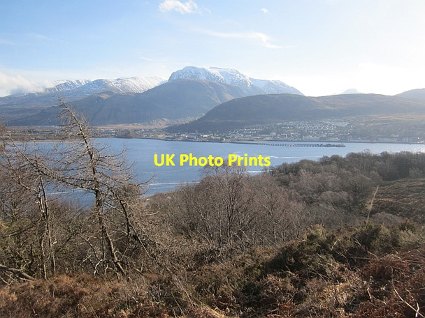 Photo 6"x4" The Crofters' Wood, Camusnagaul Fort William\/An Gearasdan c2013