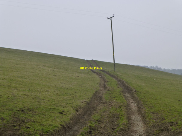 Photo 6"x4" Bridleway heading to Overthwarts Edlingham c2013