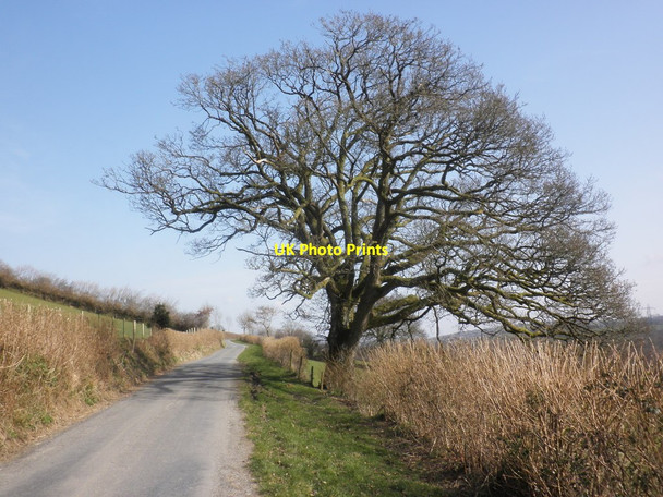 Photo 6"x4" Minor road to Bottreaux Mill Bottreaux Mill c2013