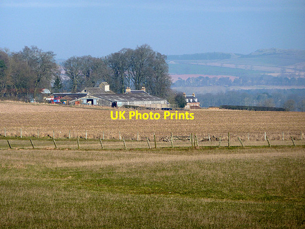 Photo 6"x4" Morridgehall Farm Maxton\/NT6130 c2013