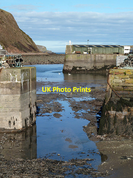 Photo 6"x4" Burnmouth Harbour at low tide Burnmouth\/NT9561 c2013