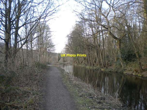 Photo 6"x4" Cromford Canal near Crich Chase Bullbridge c2013