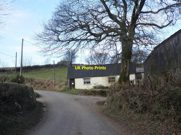 Photo 6"x4" Worth Lane North Batsom c2013