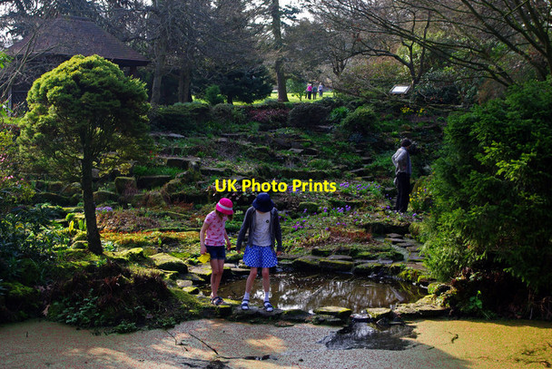 Photo 6"x4" The sandstone rock garden at Winterbourne Edgbaston c2012