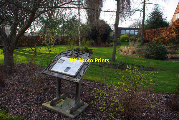 Photo 6"x4" The Old Meadow, Winterbourne Edgbaston c2012