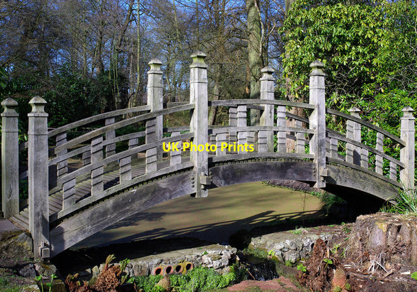 Photo 6"x4" Japanese Bridge at Winterbourne Botanic Garden Edgbaston c2012