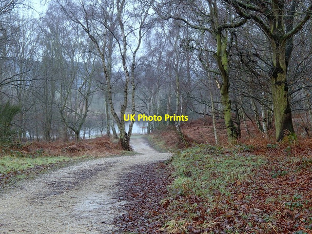 Photo 6"x4" Track towards the river Haughton\/SK6772 c2013
