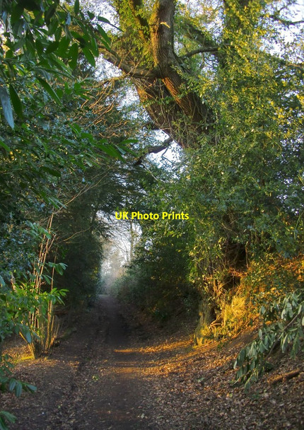 Photo 6"x4" The Greensand Way in the valley of the Tilling Bourne: view north-west Broadmoor\/TQ1345 c2013