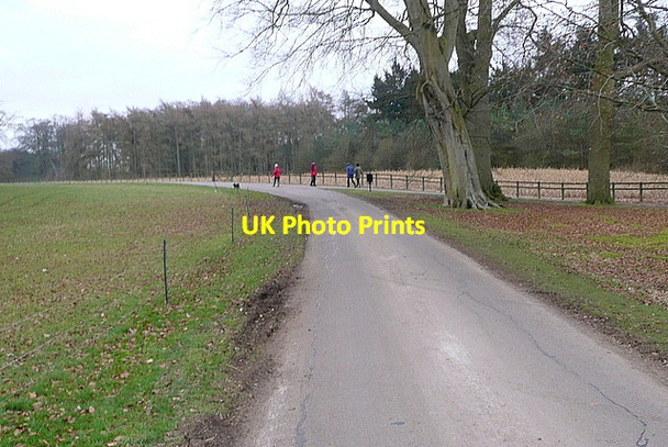 Photo 6"x4" Roads and walkers within Blenheim Park Woodstock\/SP4416 c2013