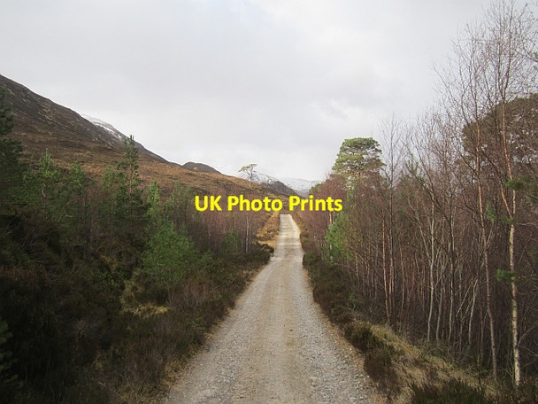 Photo 6"x4" Road, Glen Affric Allt a' Choire Chruim c2013