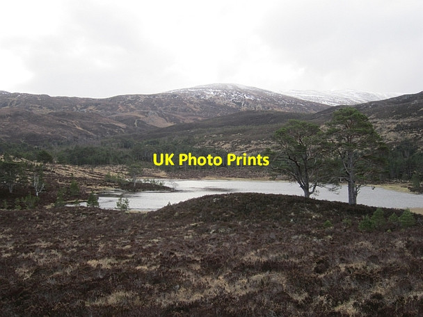 Photo 6"x4" Loch Salach a Ghiubhais Loch Salach a' Ghiubhais c2013