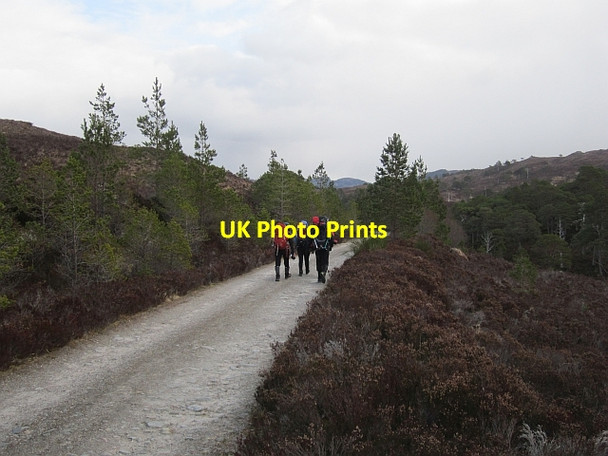 Photo 6"x4" Road, Glen Affric Loch Salach a' Ghiubhais c2013