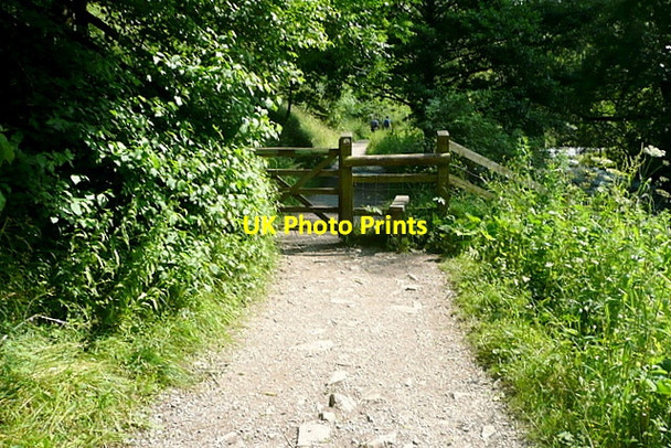 Photo 6"x4" Gate on the Dovedale walk Milldale c2012