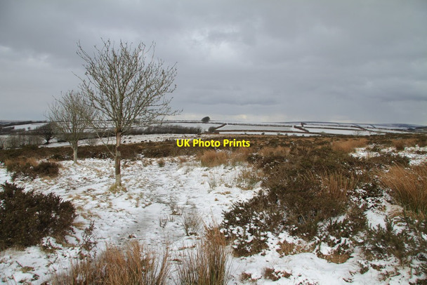 Photo 6"x4" Towards Comer's Gate North Batsom c2013