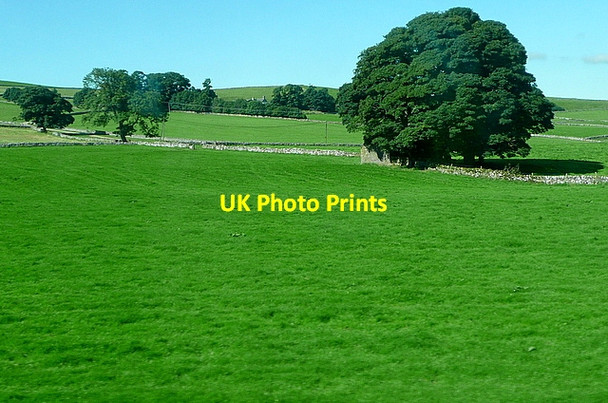 Photo 6"x4" Pasture off the A515 Alsop en le Dale c2012