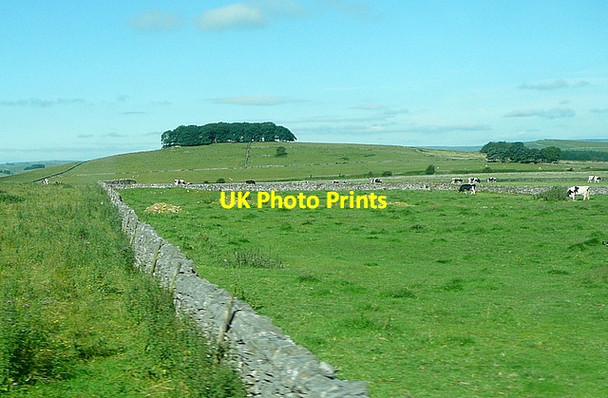 Photo 6"x4" Towards Johnson's Knoll Alsop en le Dale c2012 P1