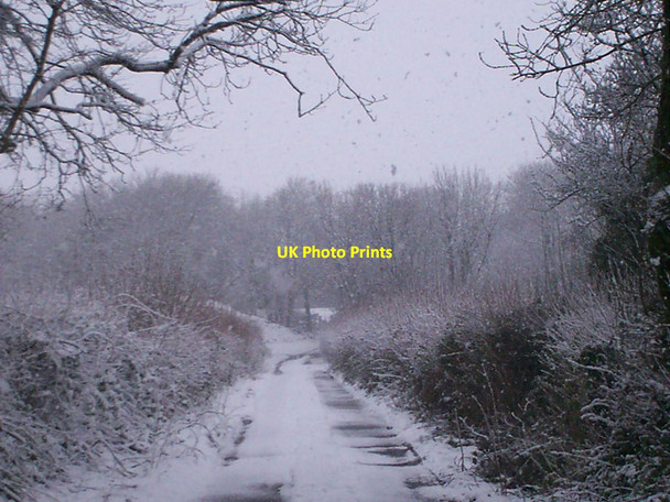 Photo 6"x4" Trenewydd Lane, Llanteg Llanteg c2013