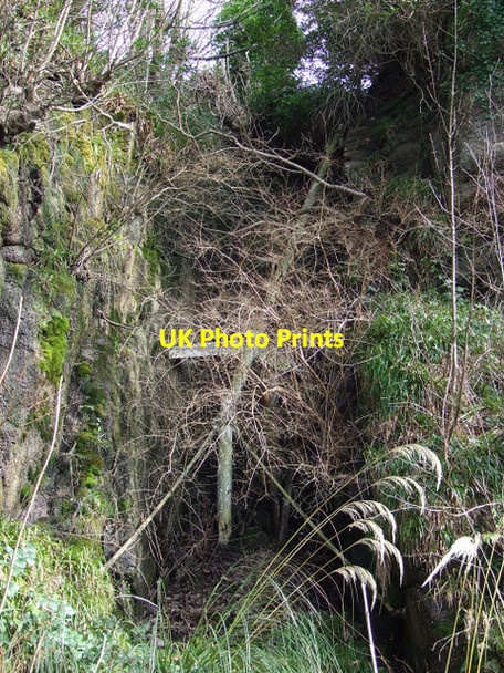 Photo 6"x4" Skelmorlie Measured Mile Skelmorlie c2013
