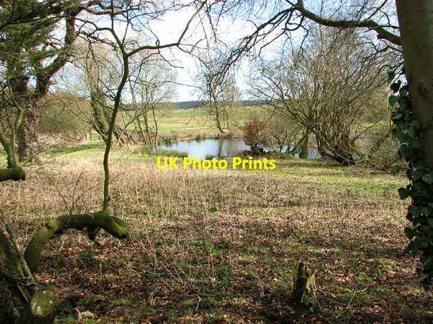 Photo 6"x4" Approaching the pond by Thorpe Hall Thorpe\/TM4398 c2013
