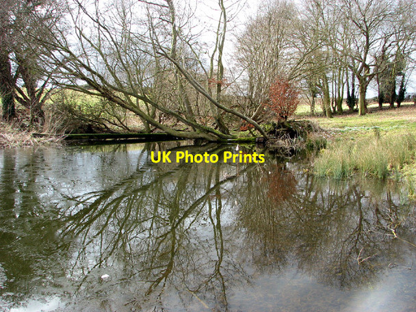 Photo 6"x4" Uprooted beech by Thorpe Hall Thorpe\/TM4398 c2013
