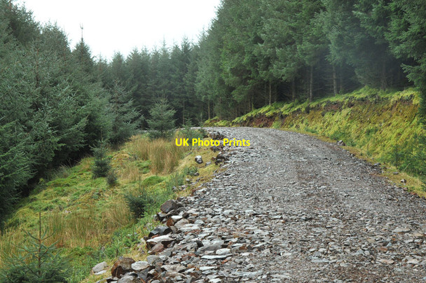 Photo 6"x4" Forestry road near Killellan Cnoc nan Gabhar\/NR6614 c2013 P1